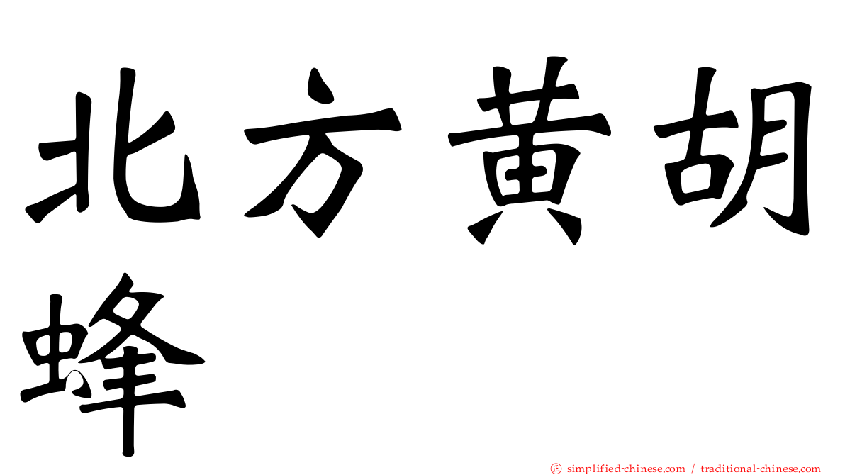 北方黄胡蜂