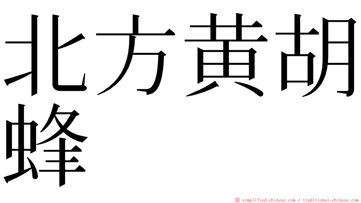 北方黄胡蜂 ming font
