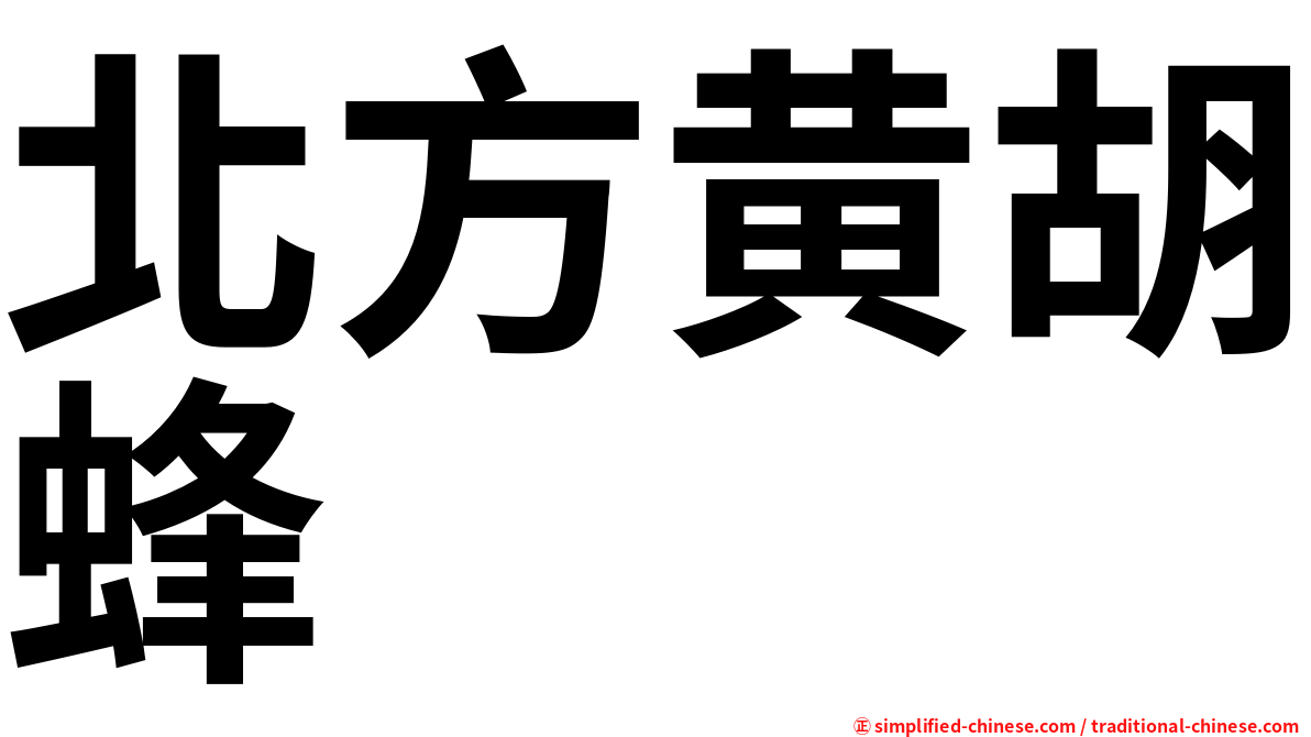北方黄胡蜂