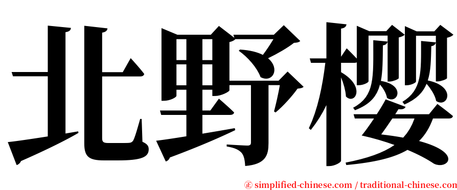北野樱 serif font