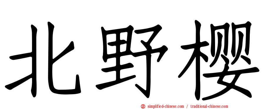 北野樱