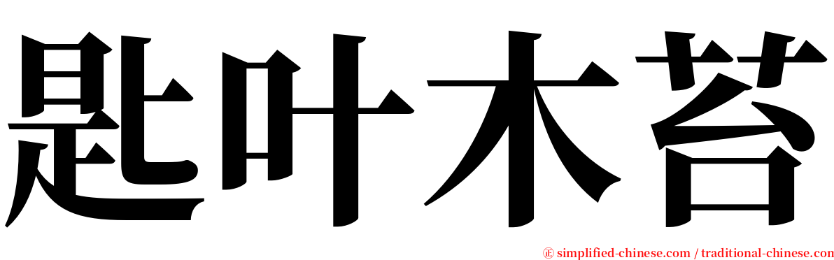 匙叶木苔 serif font