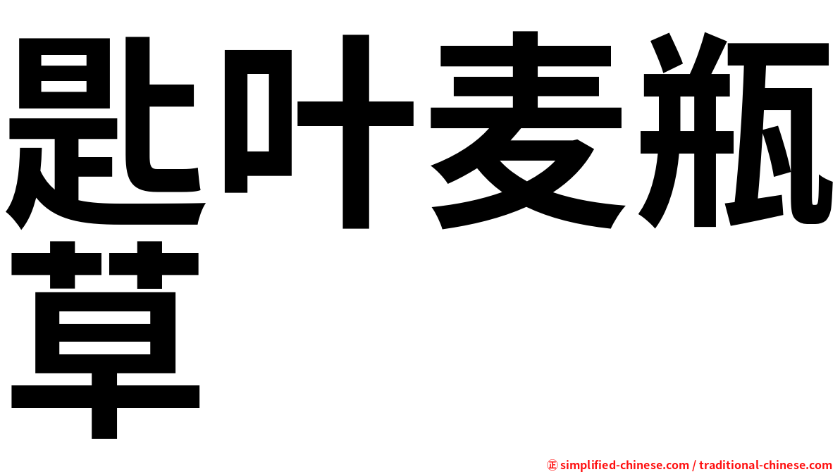 匙叶麦瓶草