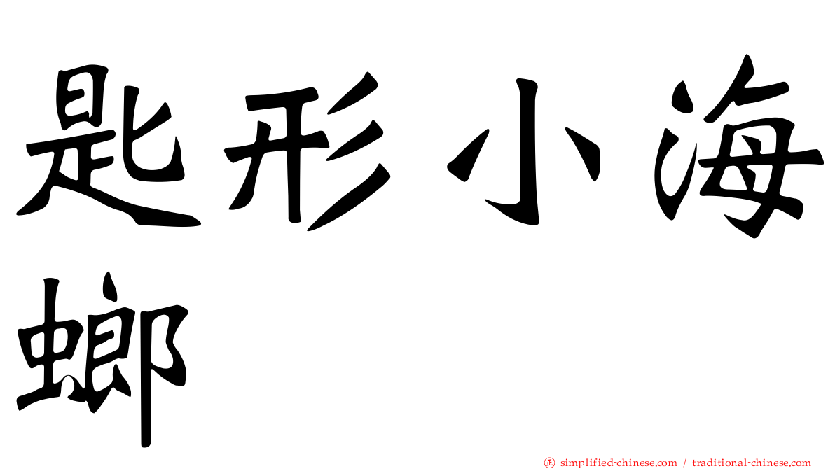 匙形小海螂