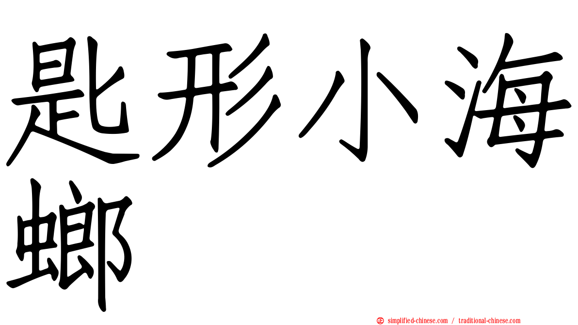 匙形小海螂