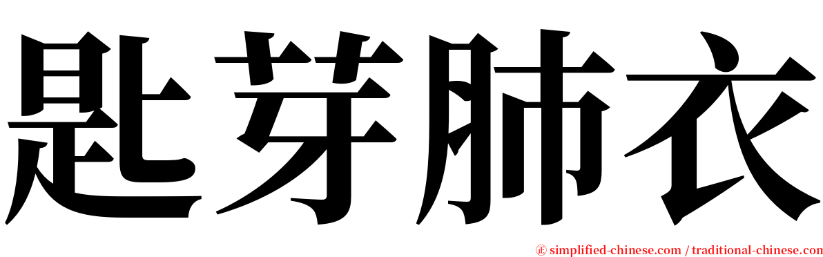 匙芽肺衣 serif font