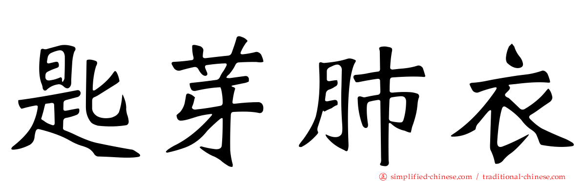 匙芽肺衣