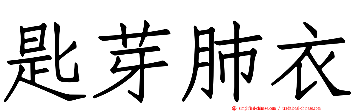 匙芽肺衣