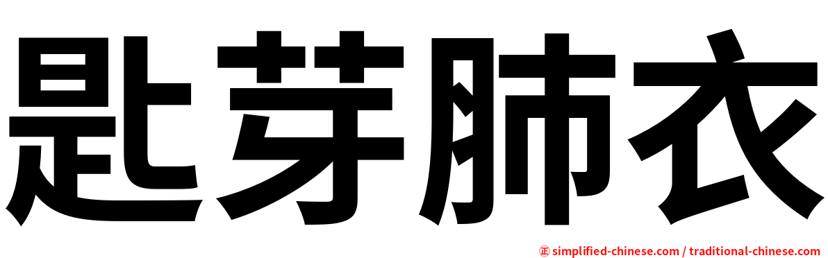 匙芽肺衣