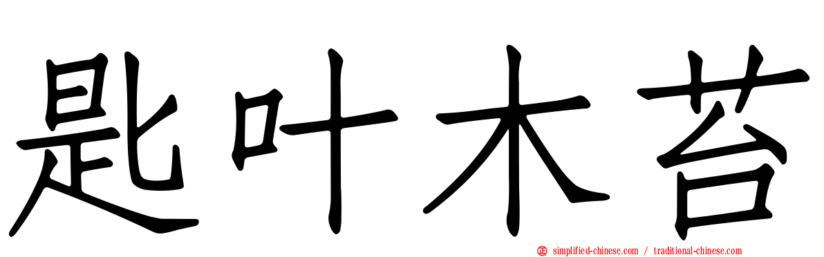 匙叶木苔