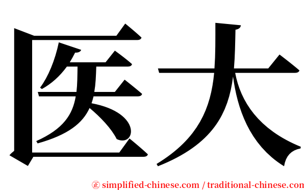 医大 serif font