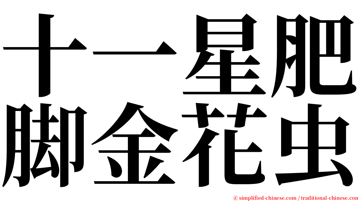 十一星肥脚金花虫 serif font