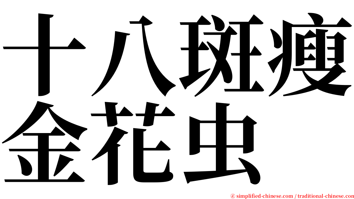 十八斑瘦金花虫 serif font