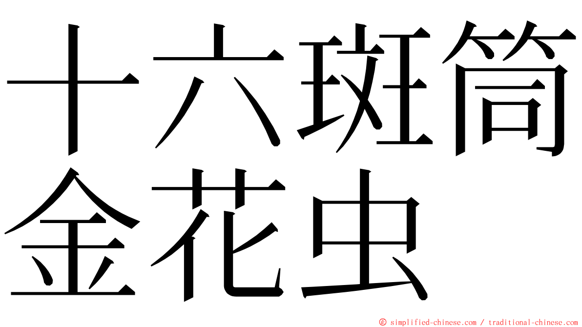 十六斑筒金花虫 ming font