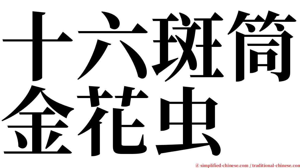 十六斑筒金花虫 serif font