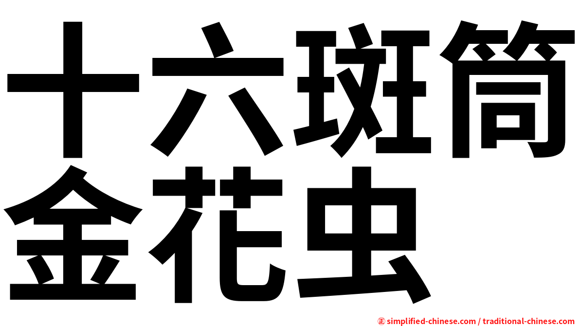 十六斑筒金花虫