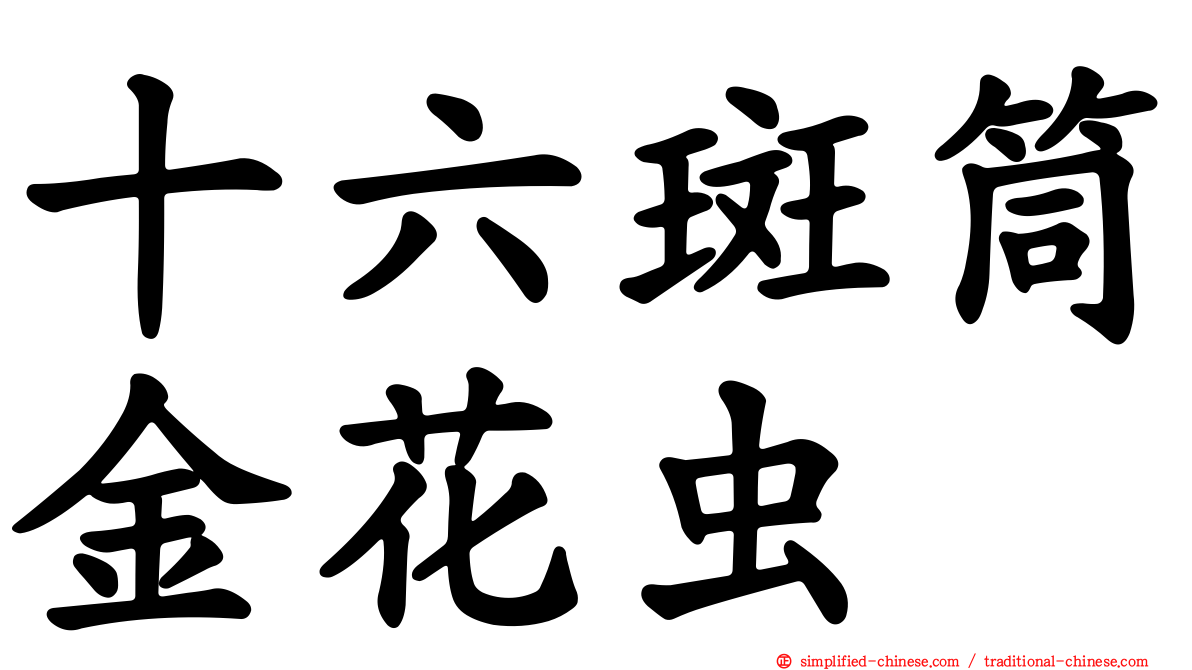 十六斑筒金花虫