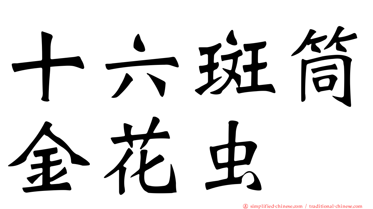 十六斑筒金花虫