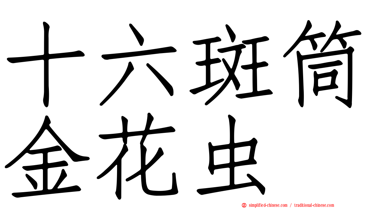 十六斑筒金花虫