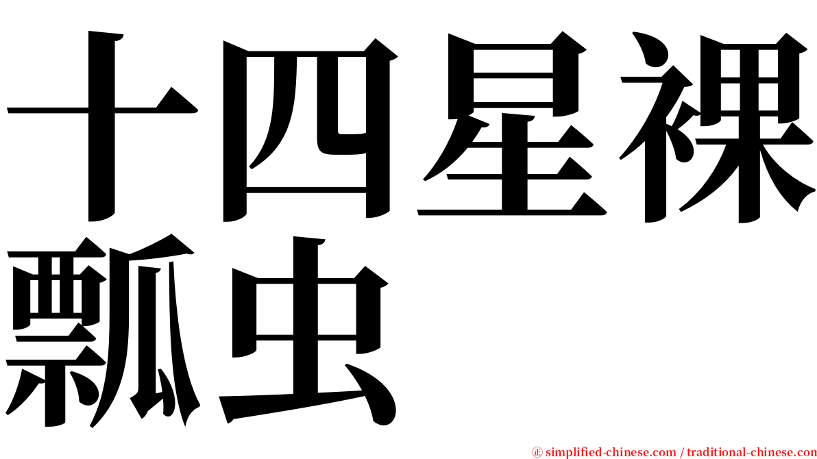 十四星裸瓢虫 serif font