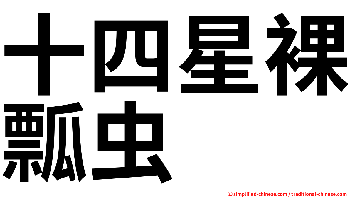 十四星裸瓢虫