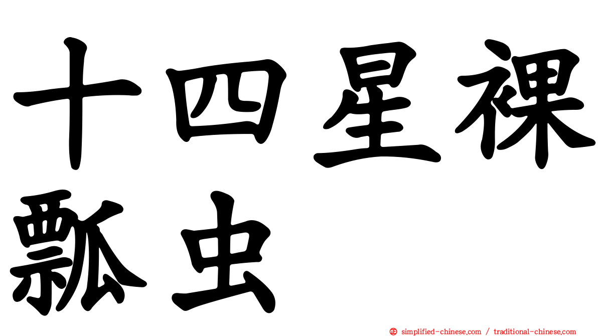 十四星裸瓢虫
