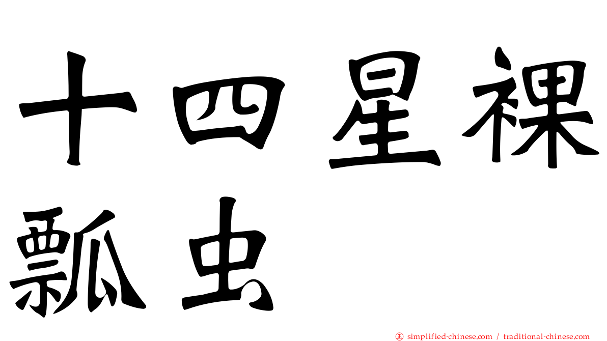 十四星裸瓢虫
