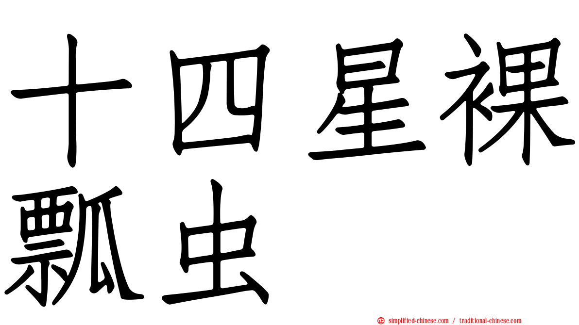 十四星裸瓢虫