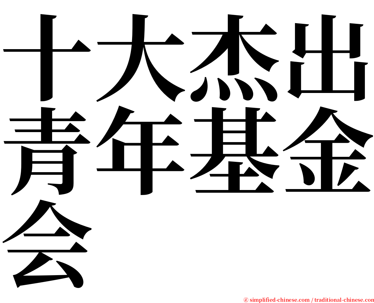十大杰出青年基金会 serif font