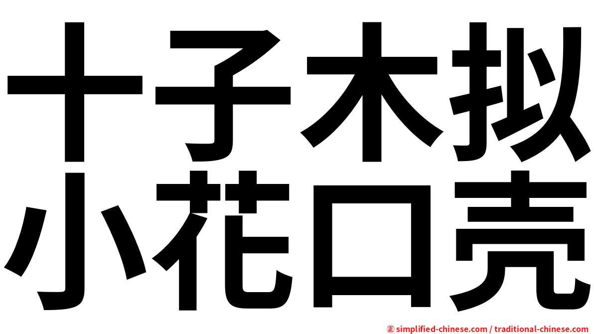 十子木拟小花口壳
