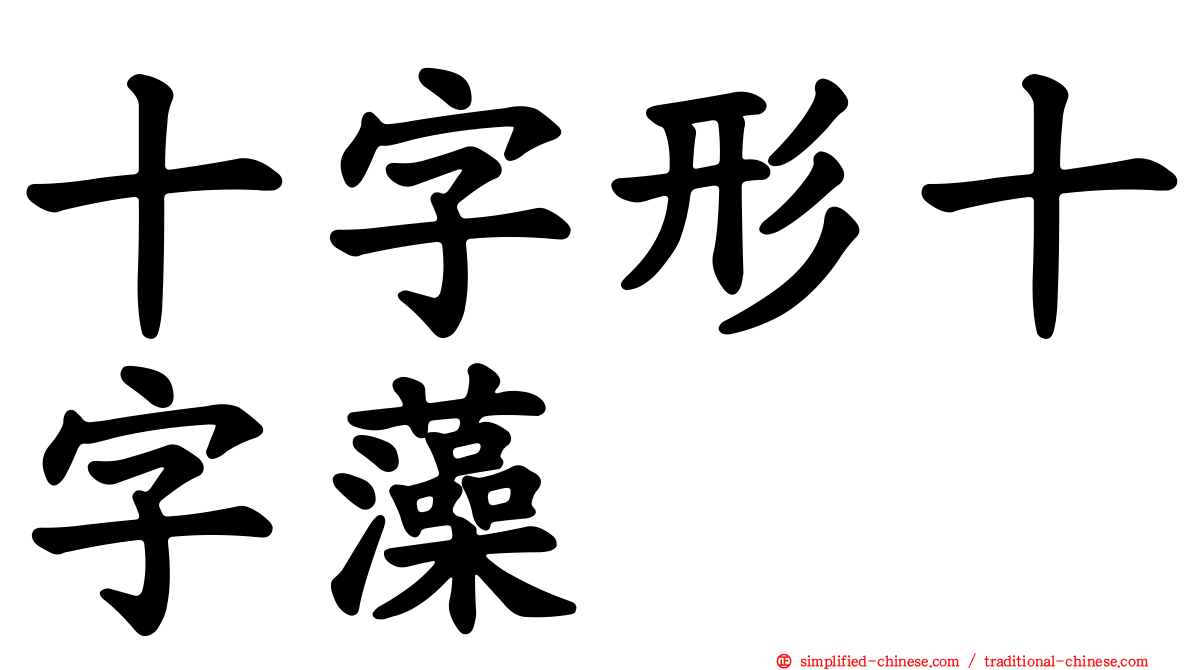 十字形十字藻