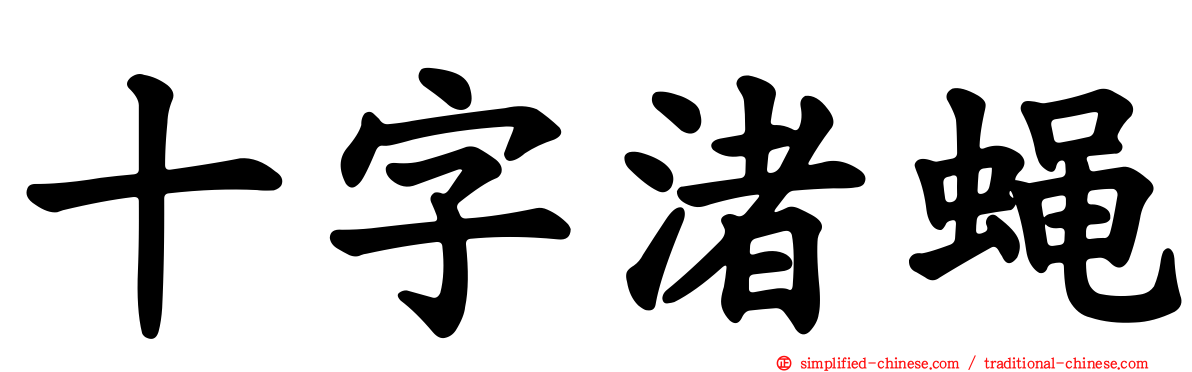 十字渚蝇