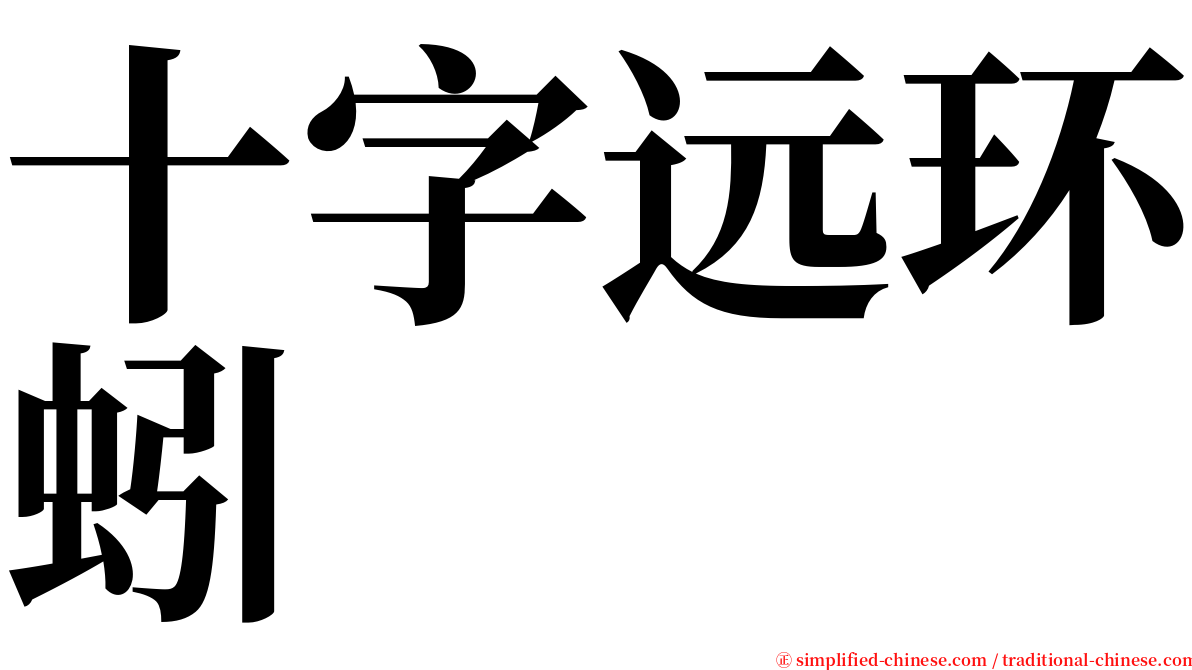 十字远环蚓 serif font
