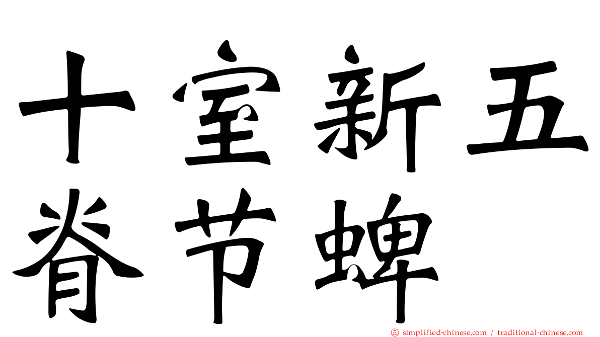十室新五脊节蜱