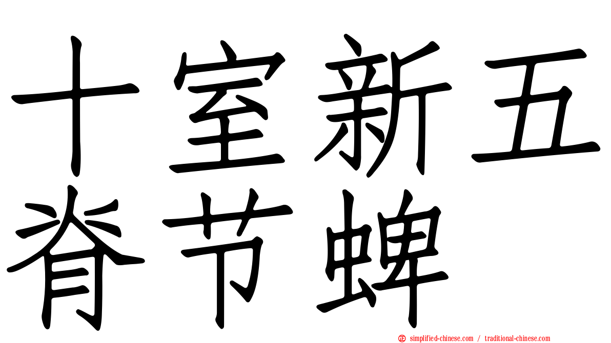 十室新五脊节蜱