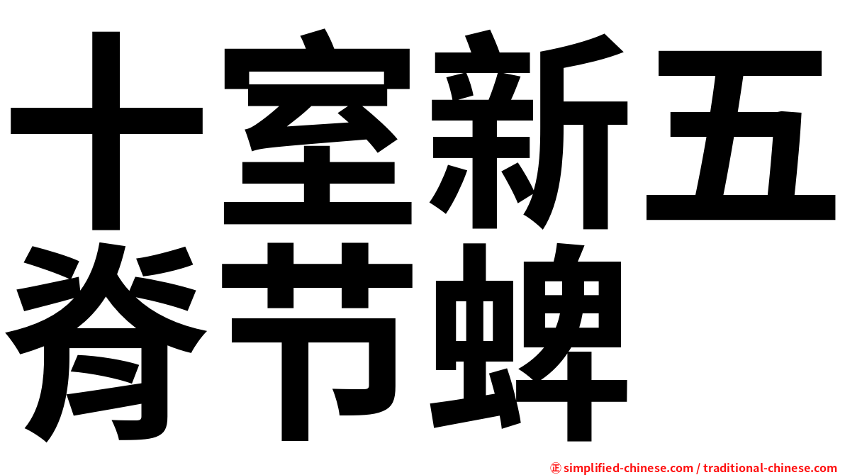 十室新五脊节蜱