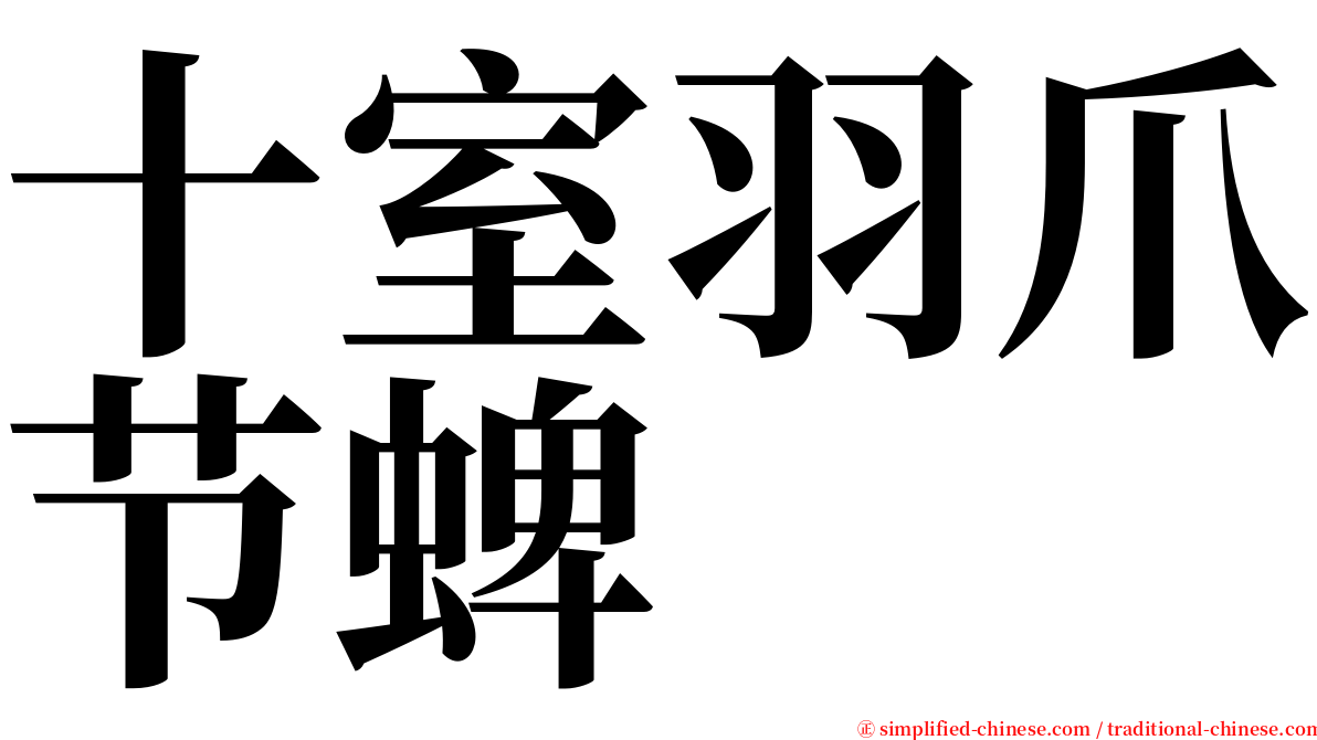 十室羽爪节蜱 serif font