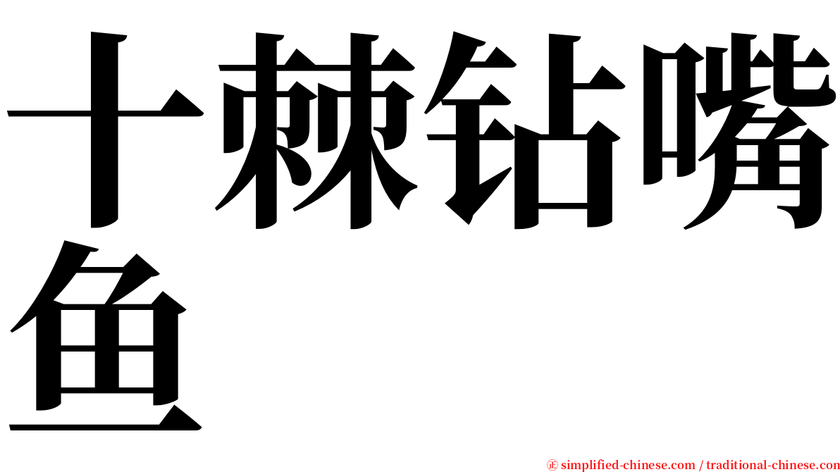 十棘钻嘴鱼 serif font