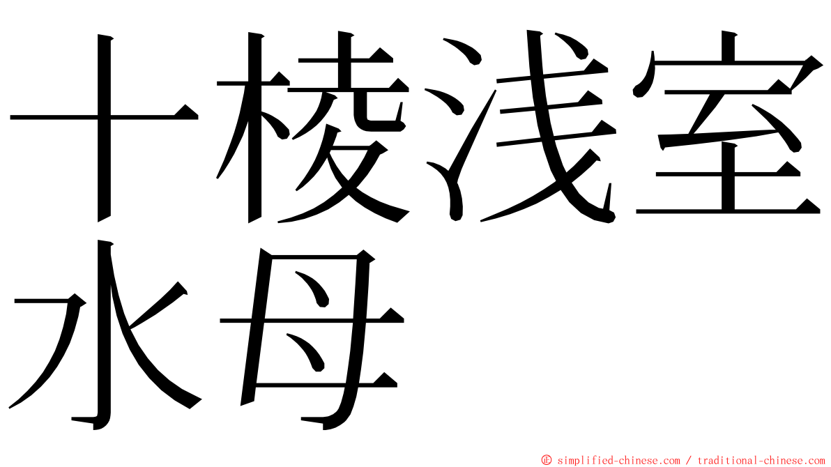 十棱浅室水母 ming font