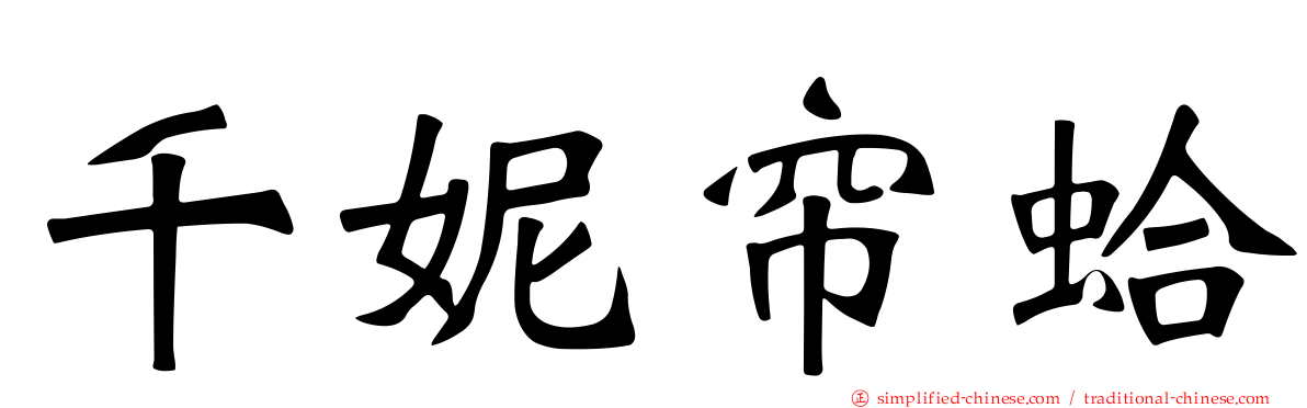 千妮帘蛤