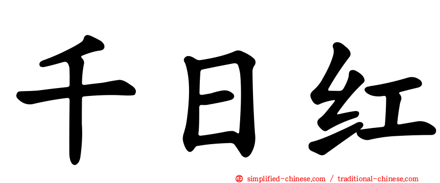 千日红