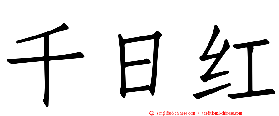 千日红