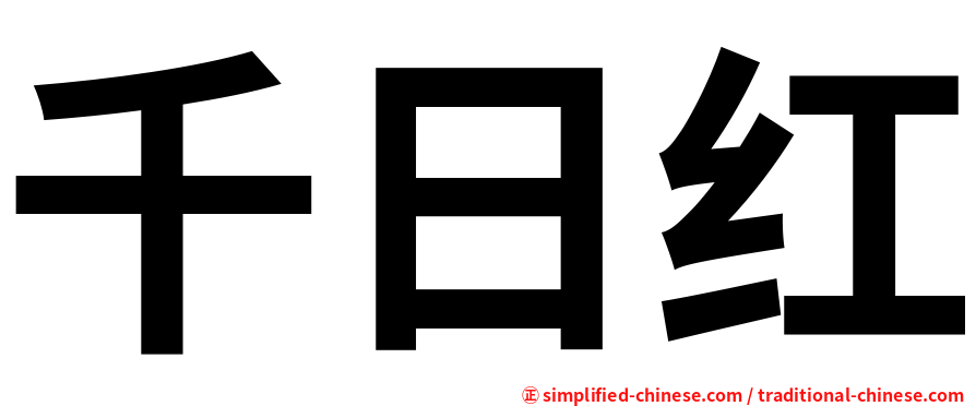 千日红