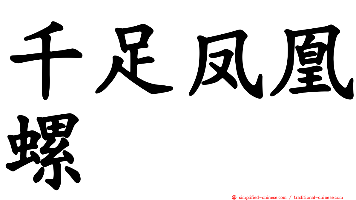 千足凤凰螺