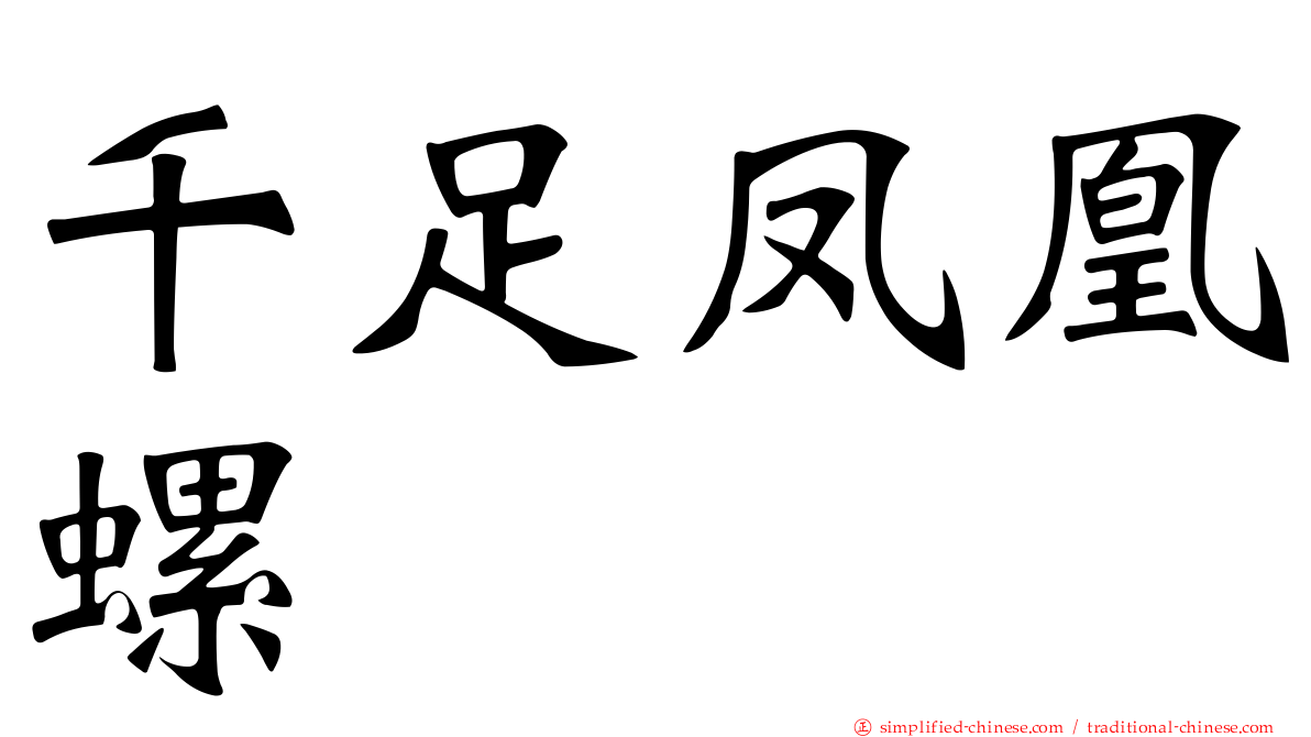 千足凤凰螺