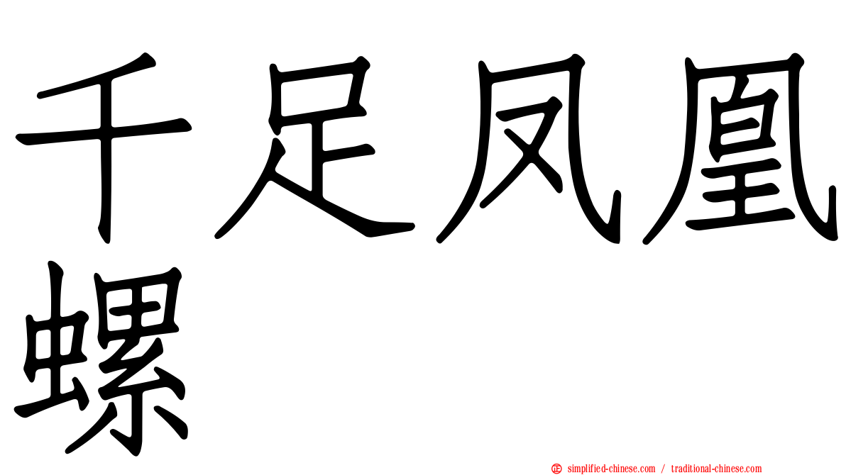 千足凤凰螺