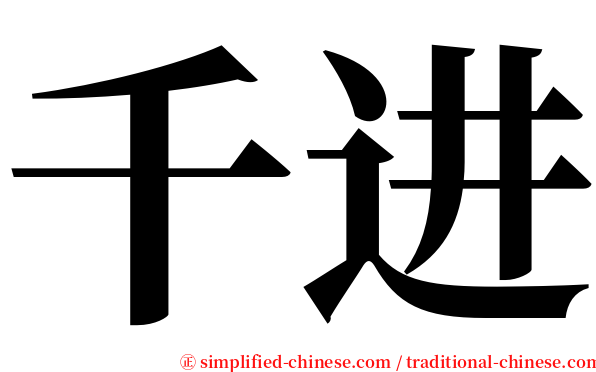 千进 serif font