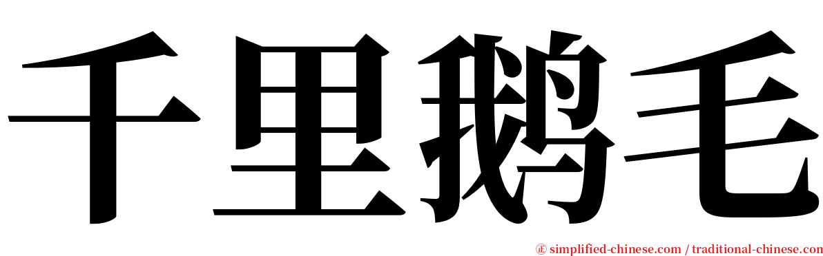 千里鹅毛 serif font