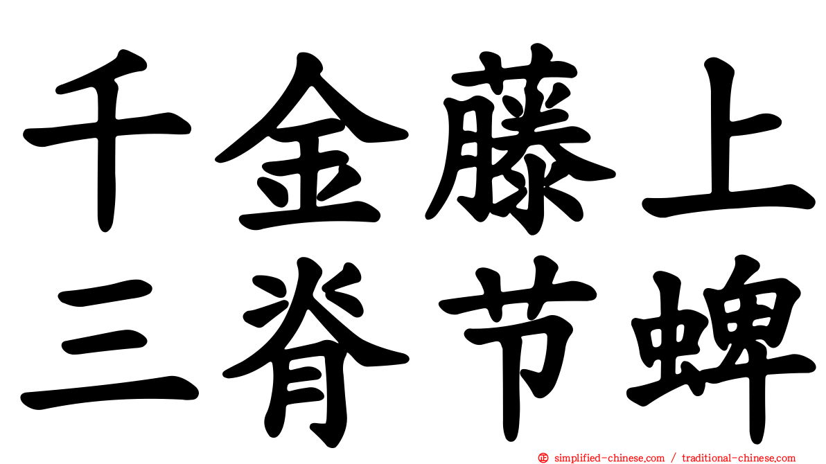 千金藤上三脊节蜱