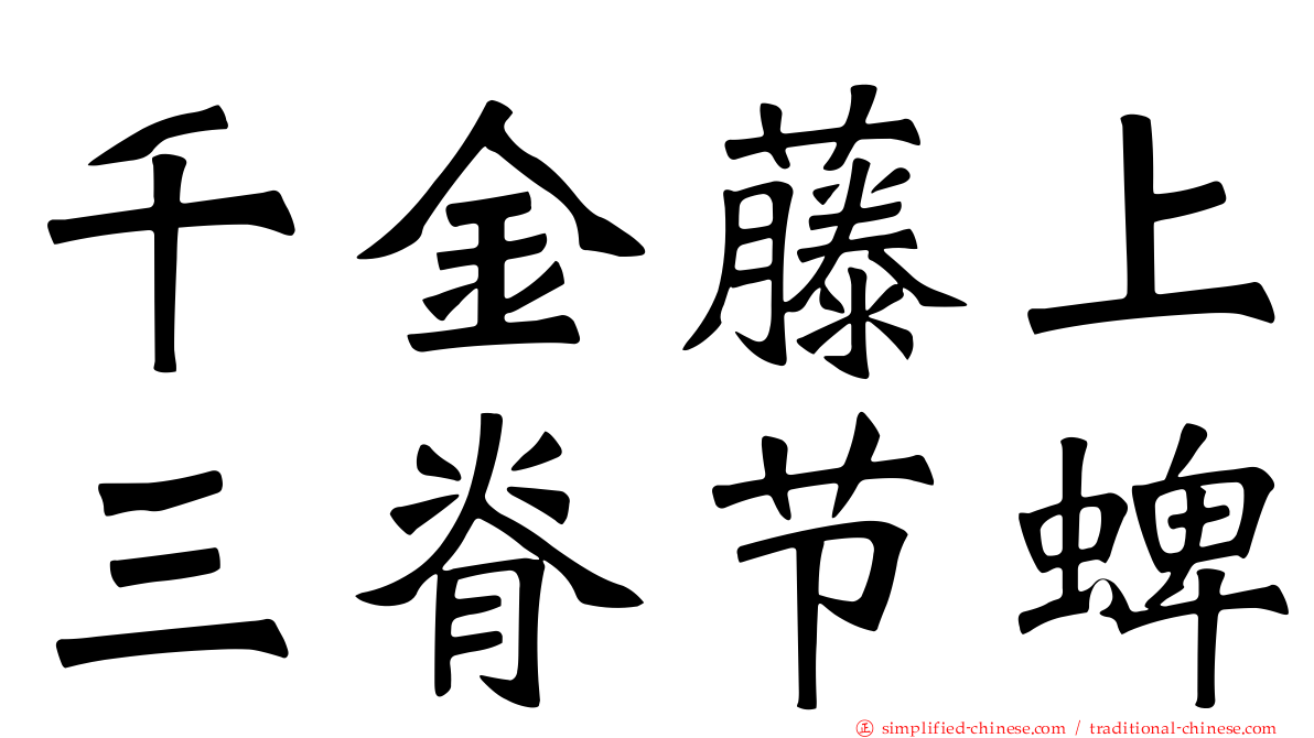千金藤上三脊节蜱